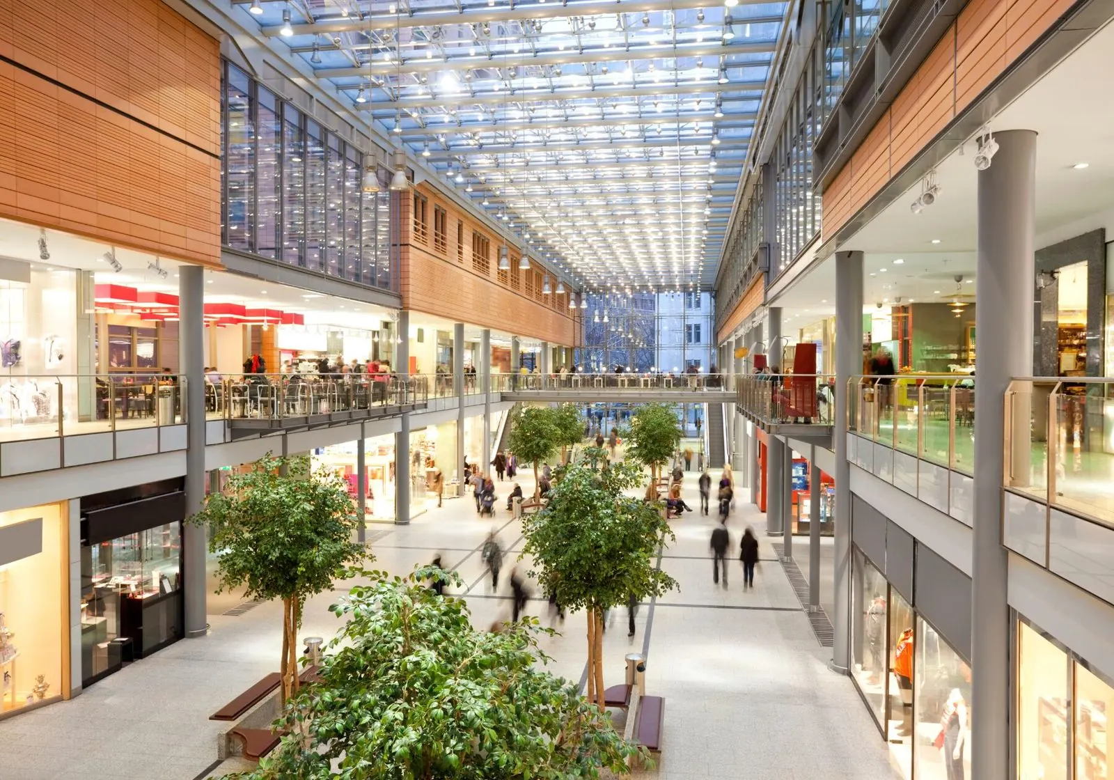 Evolving Consumer Trends: 2024 in Review
